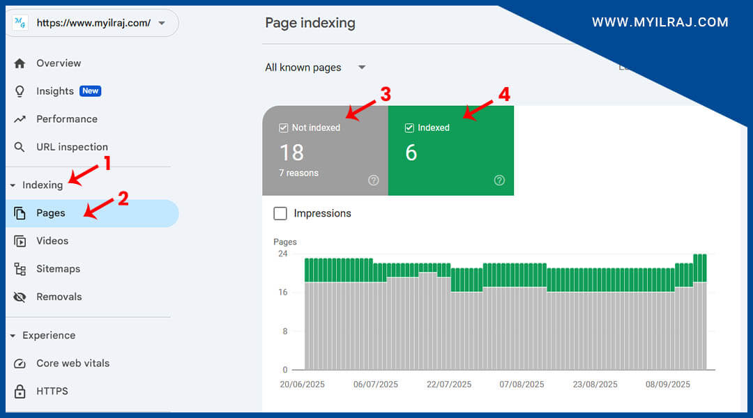 Site Indexing Status
