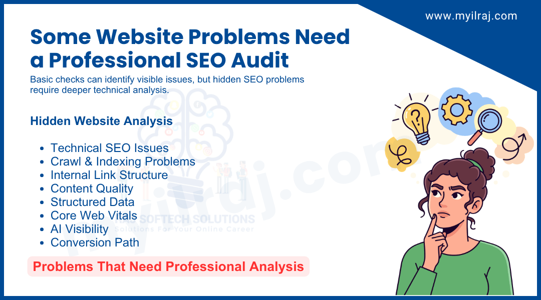 A professional SEO audit for business website